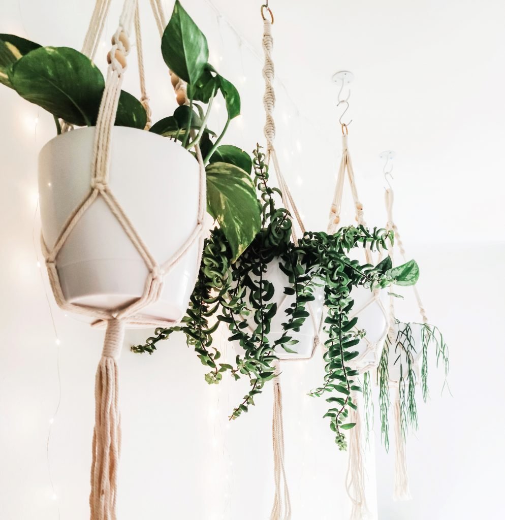 Macramé hanger decorate on a budget